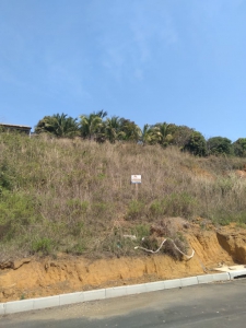 Ponte Preta , Gamboa Ponte Preta , Gamboa